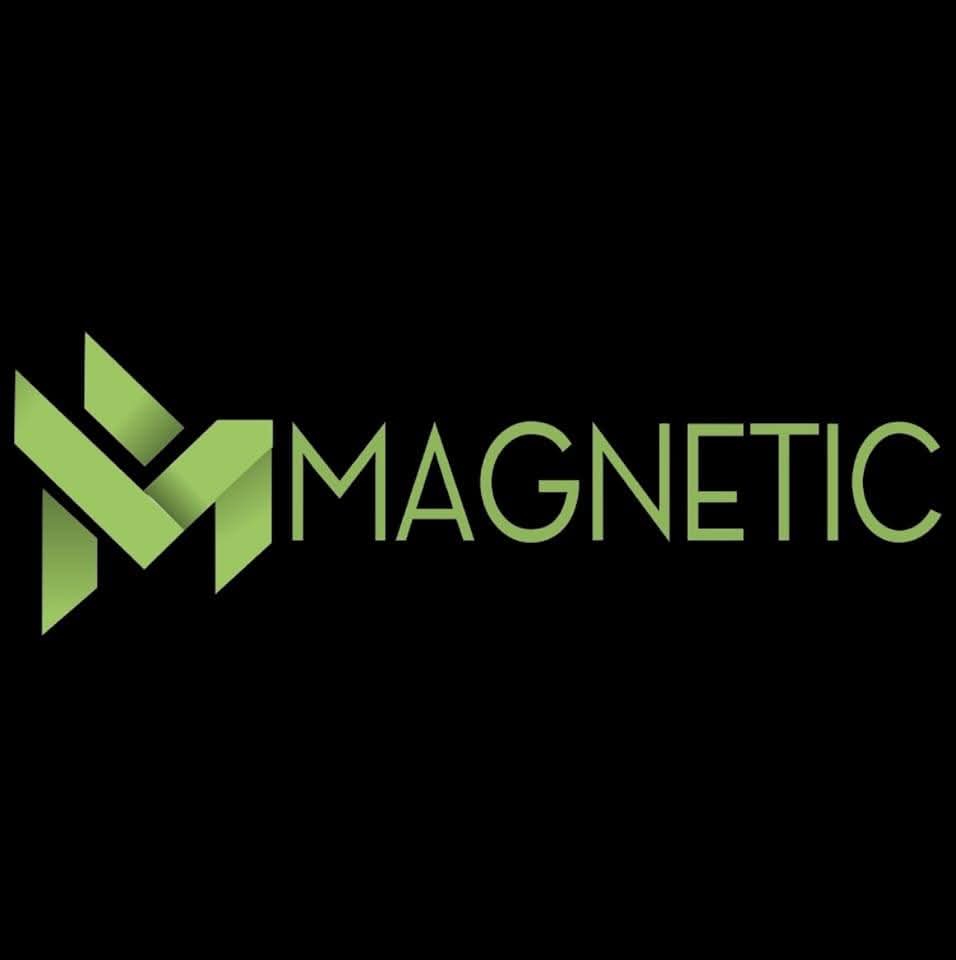 Magnetic Control